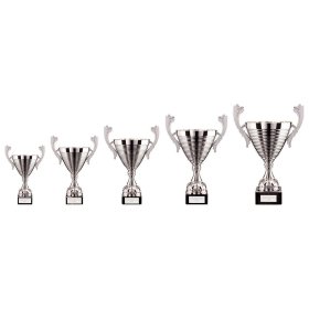 Cascade Cup Silver - 5 Sizes